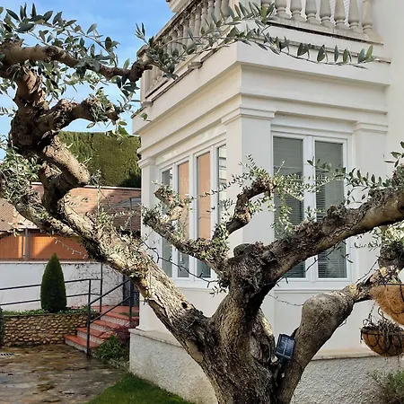 Bed & Breakfast El Jardi De L'avet Lleida