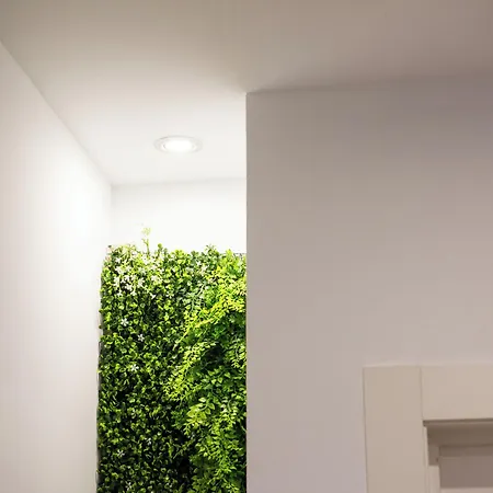 住宿加早餐酒店 El Jardi De L'avet